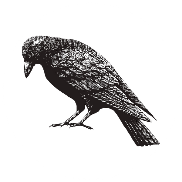 The Crow Edit